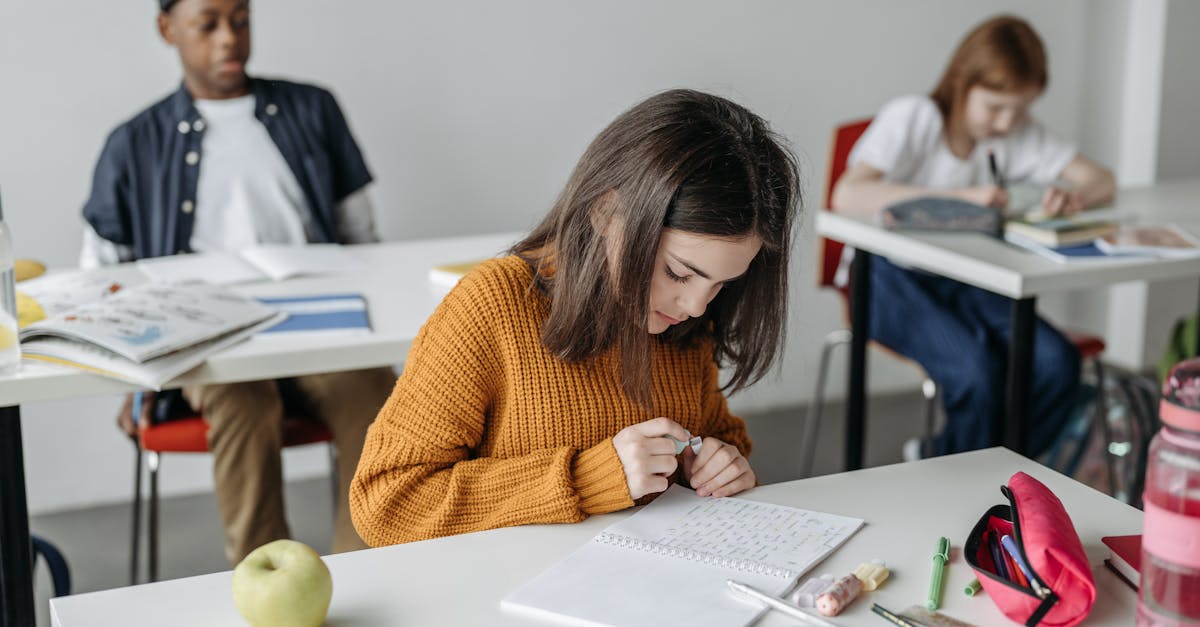 Roundup of Tools for Measuring Academic Success in Inclusive Settings